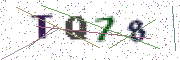 Security code: type the characters shown